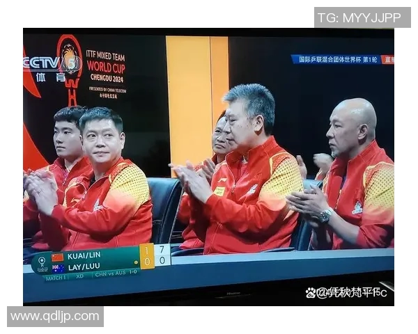 成都乒乓球队的转型之路与深度解析乒乓球运动的魅力与挑战