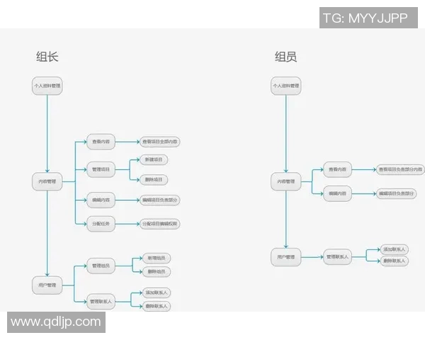 武汉排球队的战术控制与团队协作解析 武汉排球队的战术控制与团队协作解析