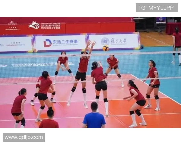 上海排球队的战术转型与深度解析探索排球运动的未来发展之路