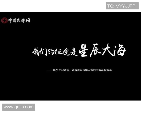 成都排球队的崛起之路欧锦赛背后的奋斗与荣耀