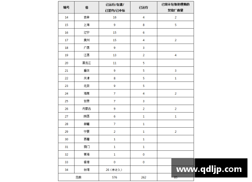 2017年国安球员名单及其表现分析