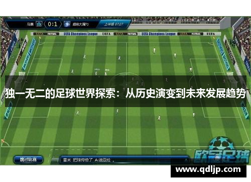独一无二的足球世界探索：从历史演变到未来发展趋势