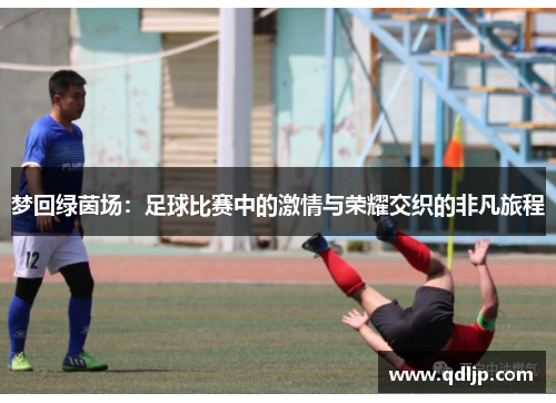 梦回绿茵场：足球比赛中的激情与荣耀交织的非凡旅程
